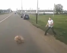 Payback na afsnijden
