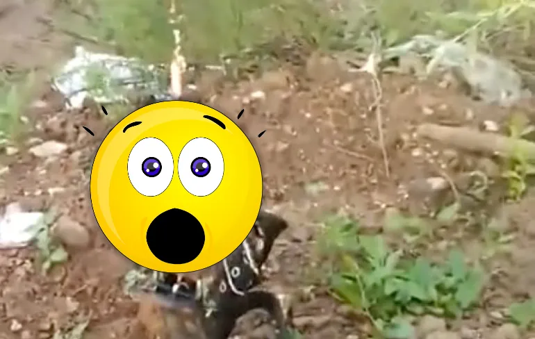 En nog wat gevangen, Boris?