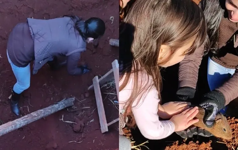 Moeder redt een cavia en dan toch een kleine plotwending