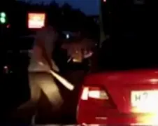 Je verwacht het niet zo een verkeersruzie