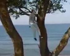 Faal vrouwtje maakt korte vlucht