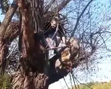 Tarzan wannabee slaat wartaal uit