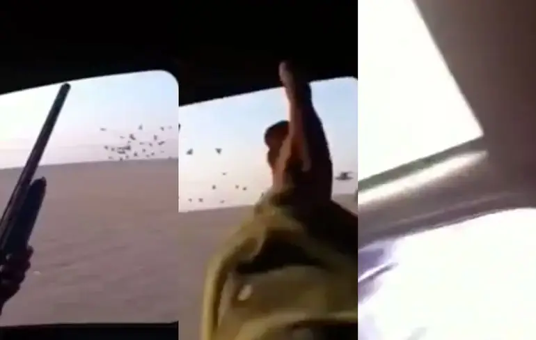 Jagen vanuit auto in Saoedi-Arabië niet zo heel succesvol
