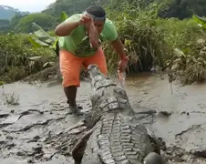 Spelen met krokodil alsof het een hond is