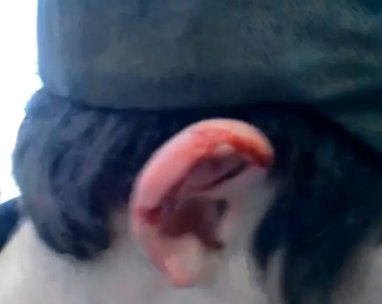 Verplaatsen van een ice shack is nog best tricky