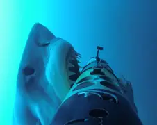 Great White filmen met de REMUS SharkCam