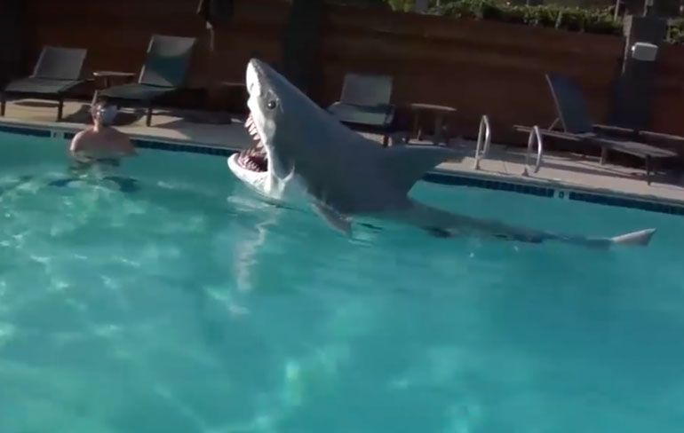 Nep haai ziet er uit als fantastisch vakantie speelgoed