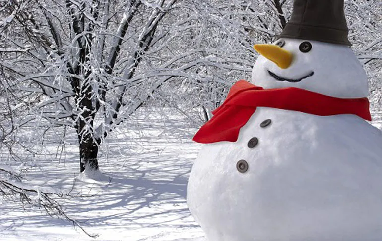 Sneeuwpop maken met webcam dame