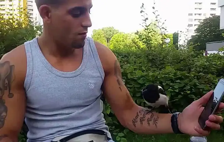 Vogel heeft geen zin om joint te delen