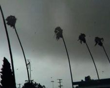 Badass mini tornado bezoekt LA