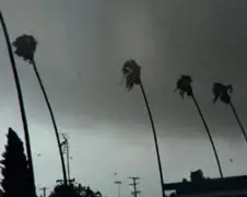 Badass mini tornado bezoekt LA