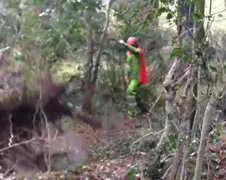 Boom kappen kan nat pak opleveren