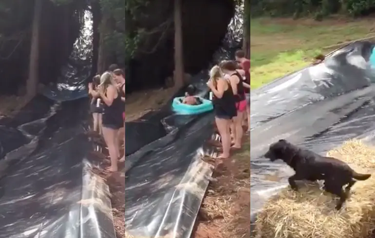 Hondje krijgt vliegles met dank aan Slip'N Slide