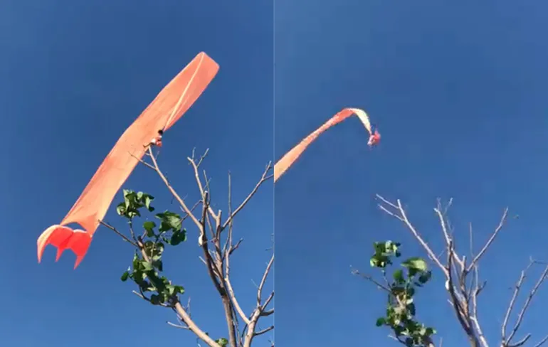 3-jarig meisje gaat met vlieger in Taiwan hoog de lucht in