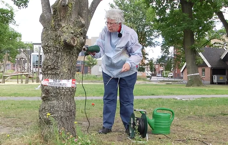 69-jarige Attie uit Enschede gaat jeukrups te lijf met verfbrander