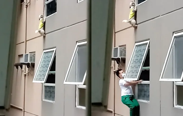 Aan flat hangend hondje gered in Filipijnse hoofdstad Manilla