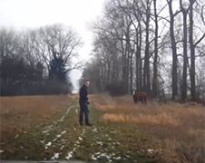 Agent in Tsjechië maakt kennis met boze koe