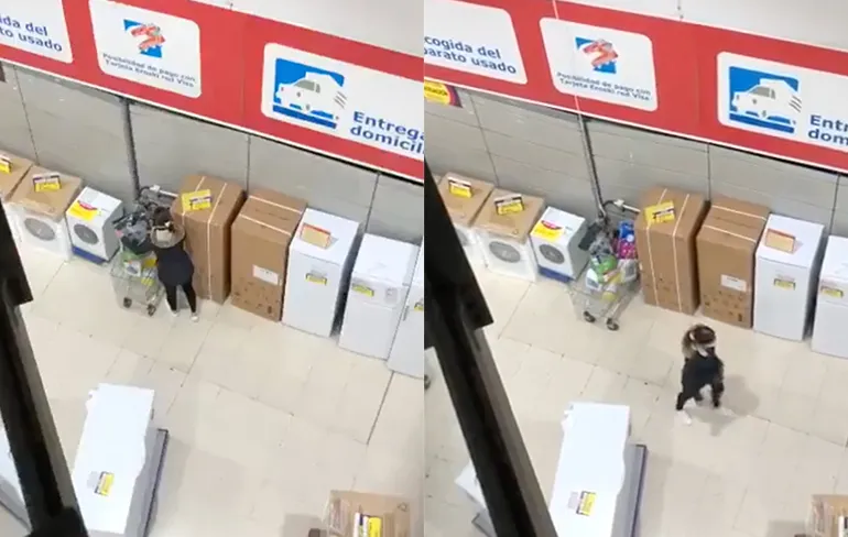 Als je geen zin hebt om te betalen voor je hammetje