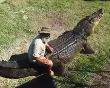 Anders neem je een krokodil als vervoersmiddel...