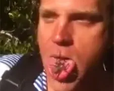 Australische waaghals neemt Huntsman Spider in mond