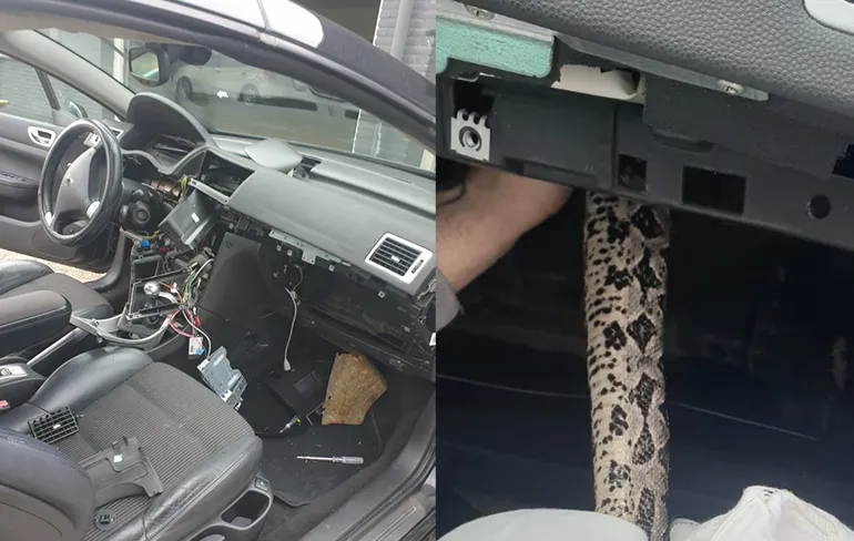 Autobedrijf in Oosterhout haalt slang uit dashboard van auto vandaan