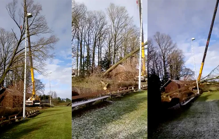 Baas, dat takelen van die boom is toch niet helemaal goed gegaan