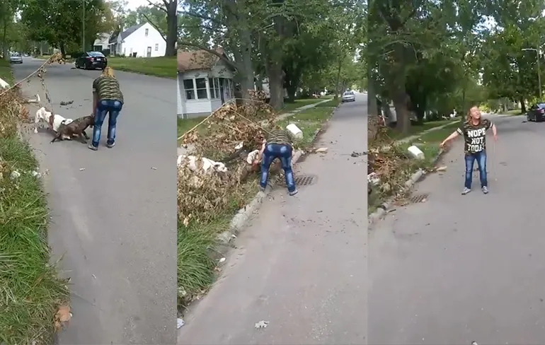 Baasje wordt aangevallen door Pitbull, haar eigen pitbull grijpt in