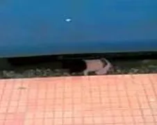 Baby overreden door trein in Mumbai