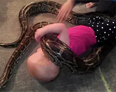 Baby speelt gezellig met Python