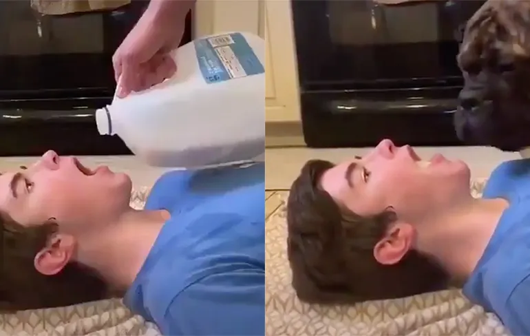 Speel zelf eens als drinkbak van je trouwe viervoeter