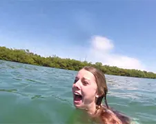 Bakvis aangevallen door zeekoe