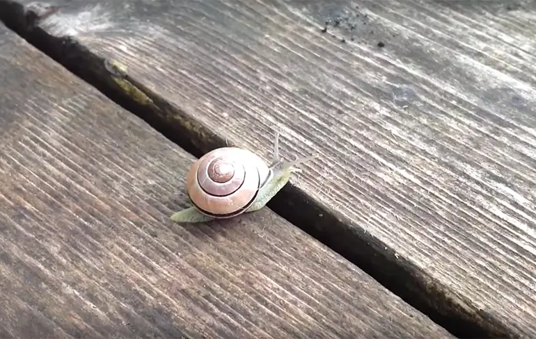 BAM! De 5 saaiste video's van het internet om op te breaken!