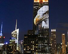Bedreigde diersoorten geprojecteerd op Empire State Building