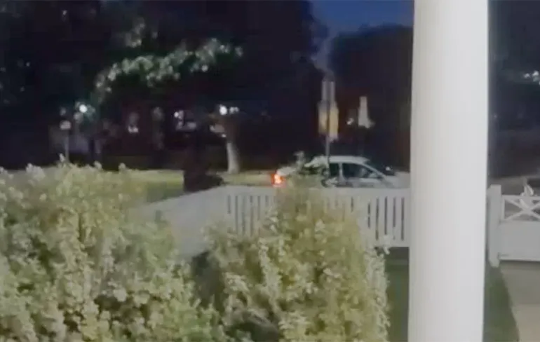 Beelden beveiligingscamera hondenoppas van Lady Gaga neergeschoten en 2 honden gestolen