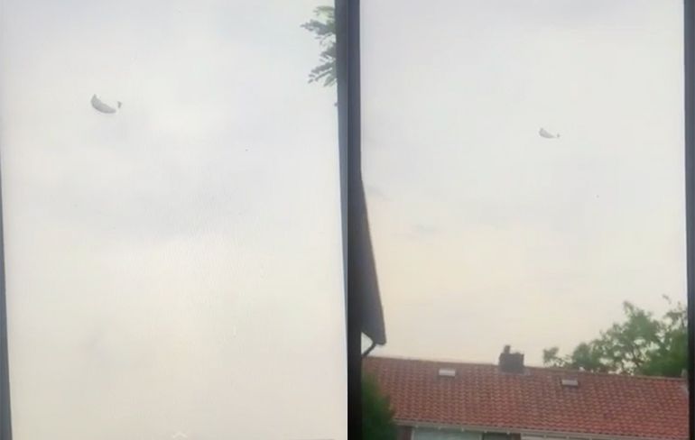 Beelden opgedoken paraglider stort neer in maisveld bij Didam