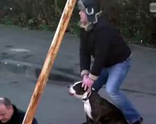 Behulpzame man gebruikt wrik om hondje te redden...