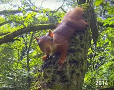 Belgische natuur is eigenlijk ook best mooi!