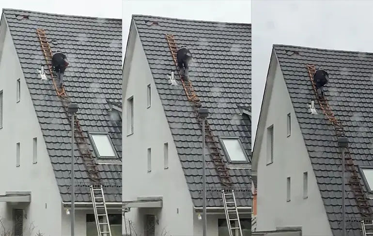Beunhaas gaat dak op om dakpan goed te leggen...