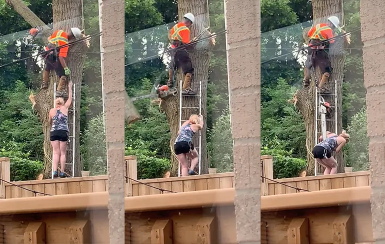 Beunhaas ingehuurd om boom te snoeien in Canada