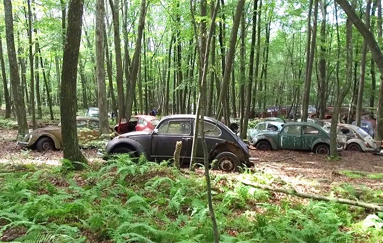 Bezoekje aan een Volkswagen Kever autokerkhof in Amerika