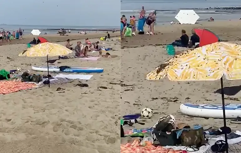 Bijen zorgen voor niet zo'n leuke stranddag op Texel