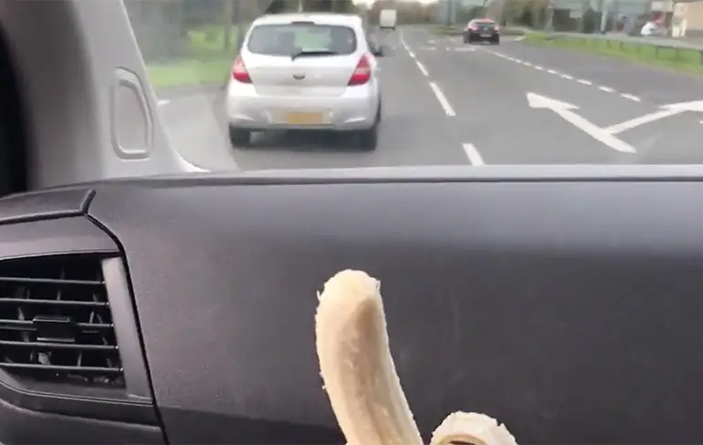Blijf in het verkeer met je poten van je mobiel af!