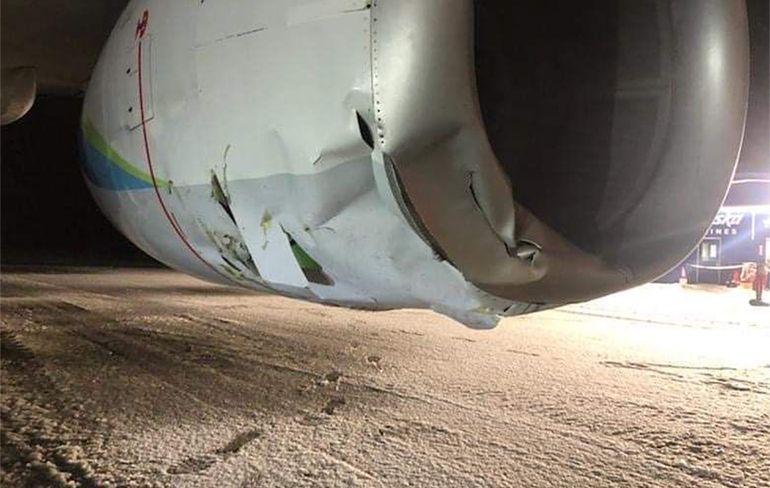 Boeing 737 van Alaska Airlines had botsing met een beer