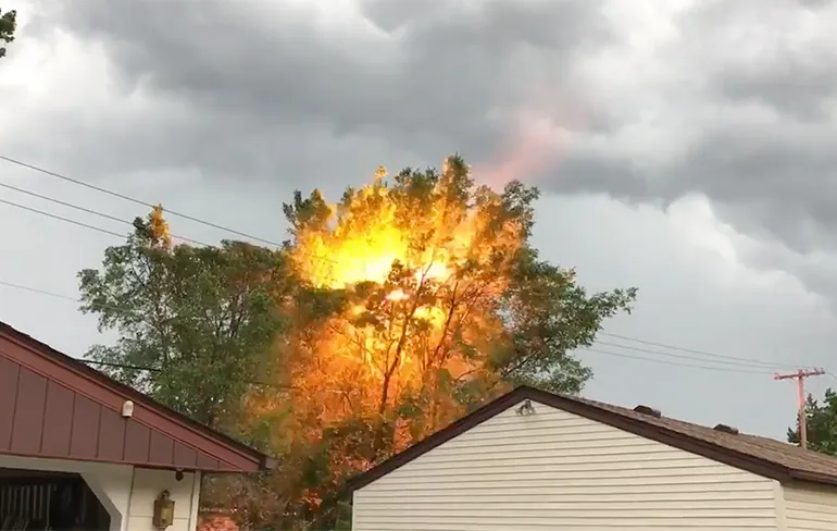 Bomen in de buurt van hoogspanningskabels zijn levensgevaarlijk!