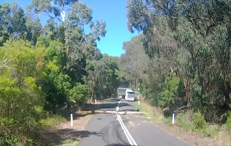 Boompje zorgt dat Australische trucker vol in de ankers moet!