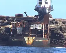 Bootje dumpt enorme lading boomstammen