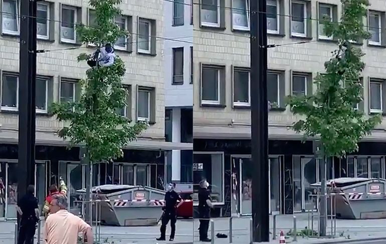 Boze man klimt in boom in Duitse Hannover