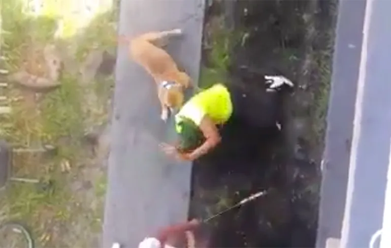 Boze vrouw warm onthaald met honkbalknuppel en hond