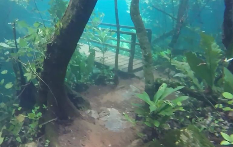 Braziliaanse Recanto Ecologico Rio da Prata staat een beetje onder water
