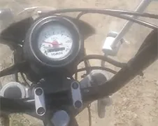 Brommers kieken kan ook best in Tilburg!